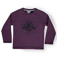 Джемпер для мальчиков (CM) 53324.83